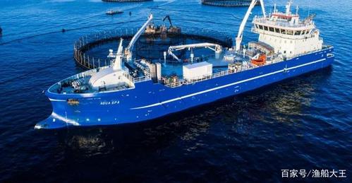 2020年挪威最新84米混合动力活鱼运输船aqua spa